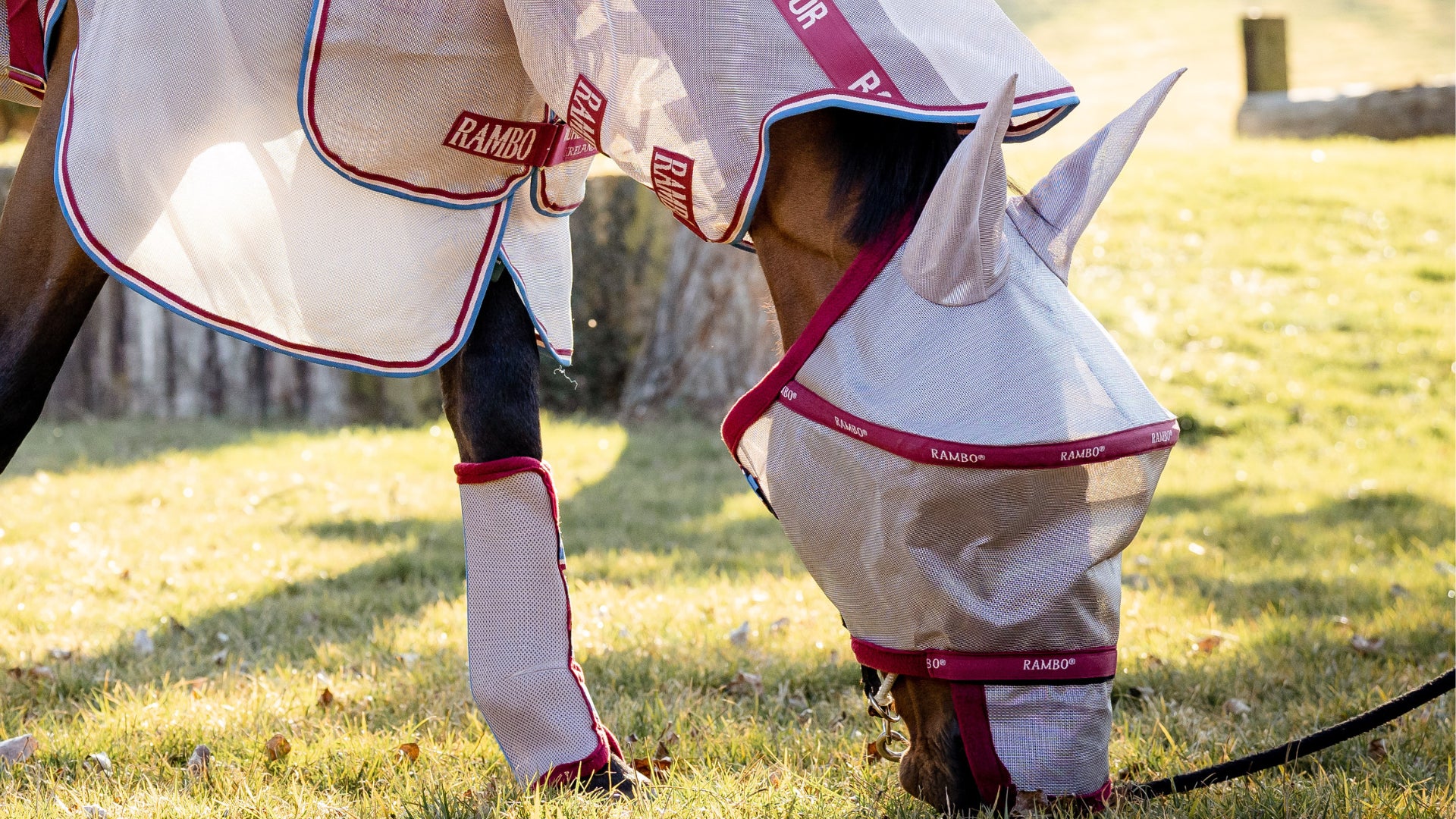 A Holistic Approach to Fly Control for Horses Top Tips & Tricks