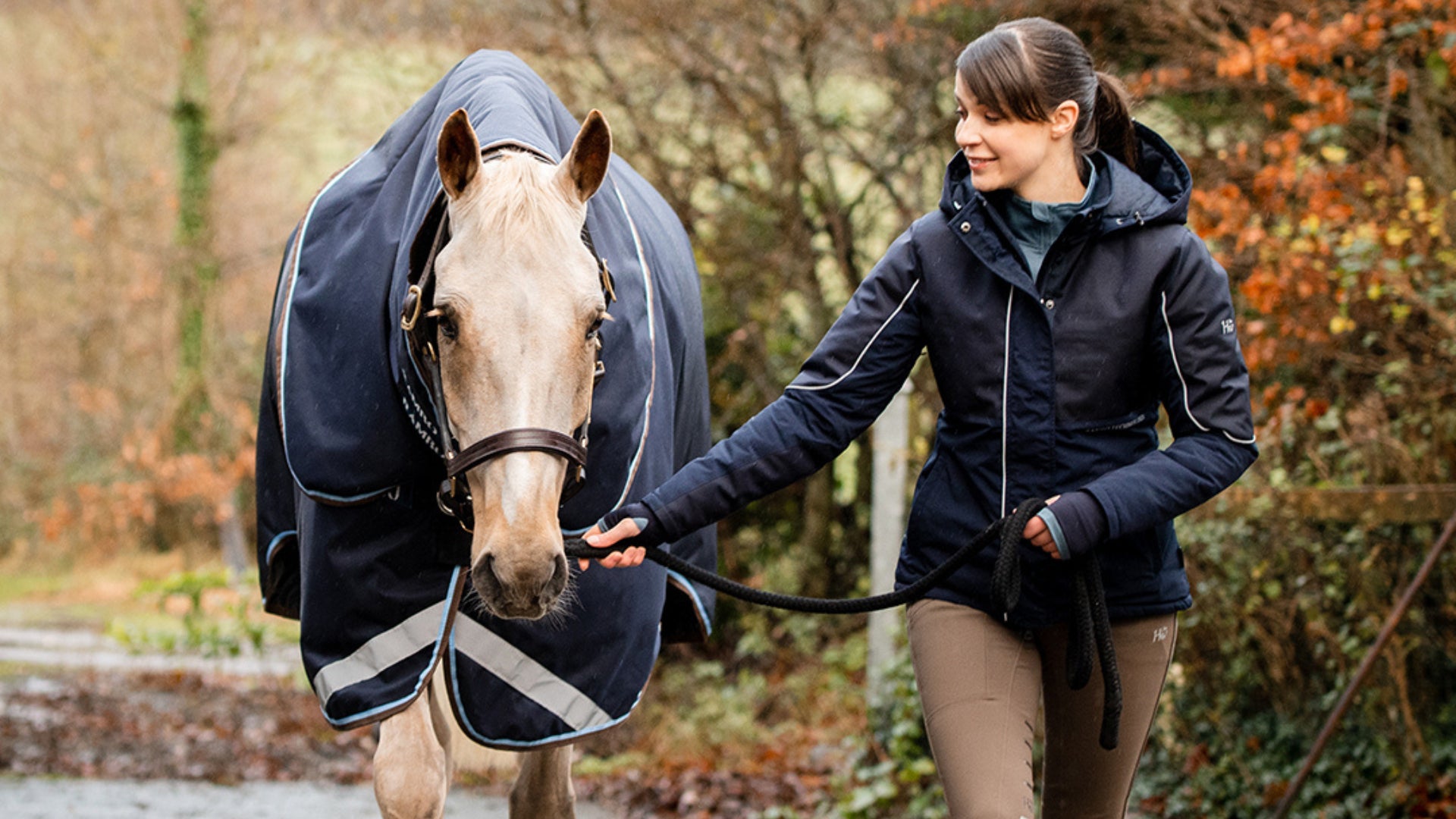Ramener votre nouveau cheval à la maison : guide