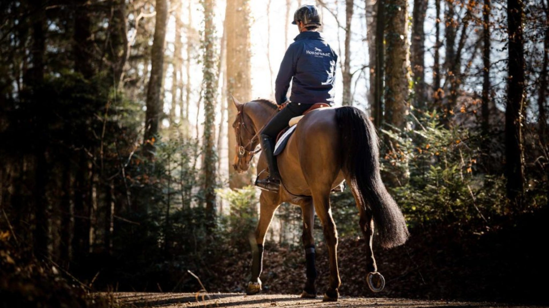 5 Amazing Horseback Riding Vacations in North America