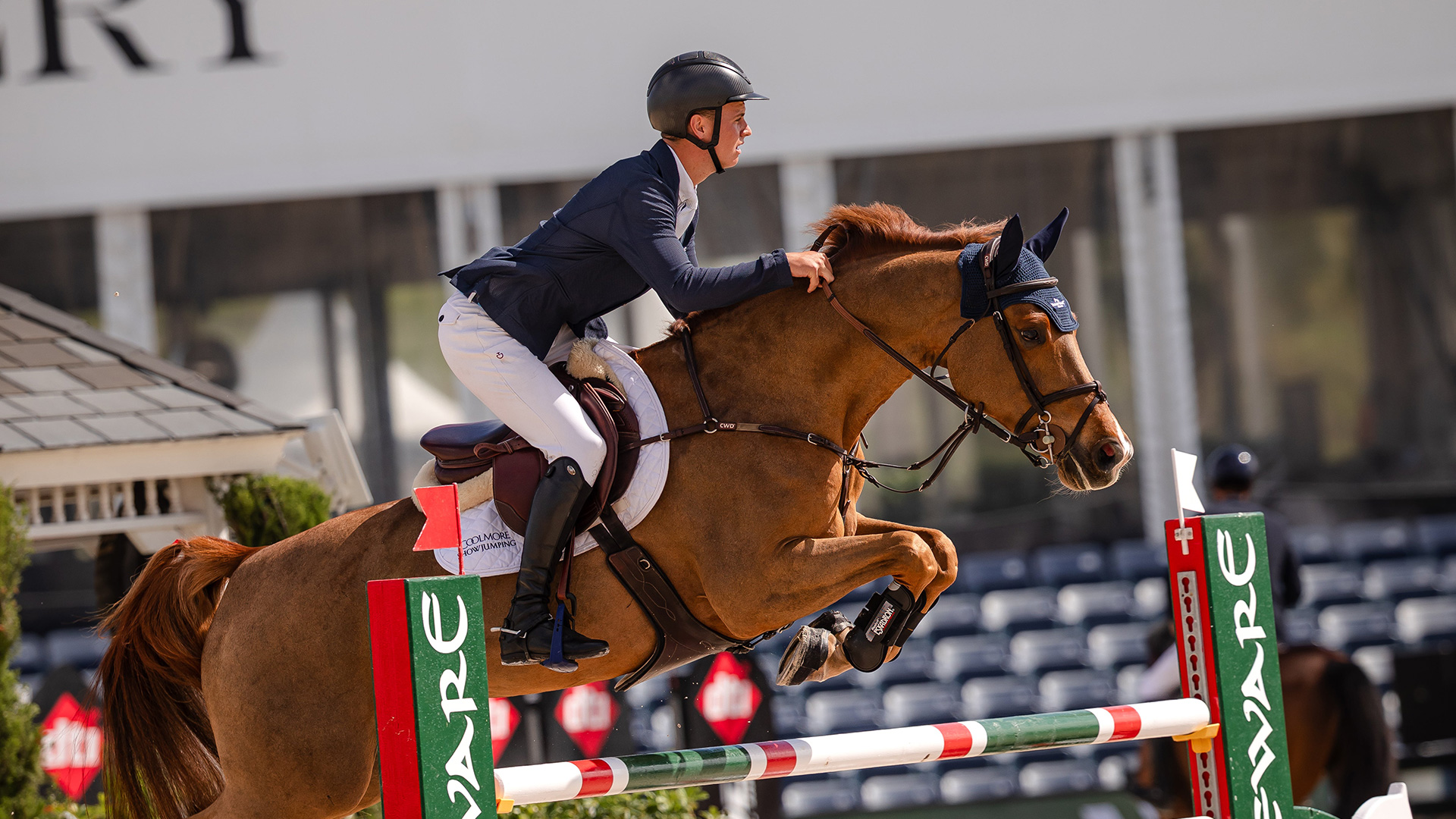 Your Guide to WEF Week 10 Sponsored by Horseware Ireland