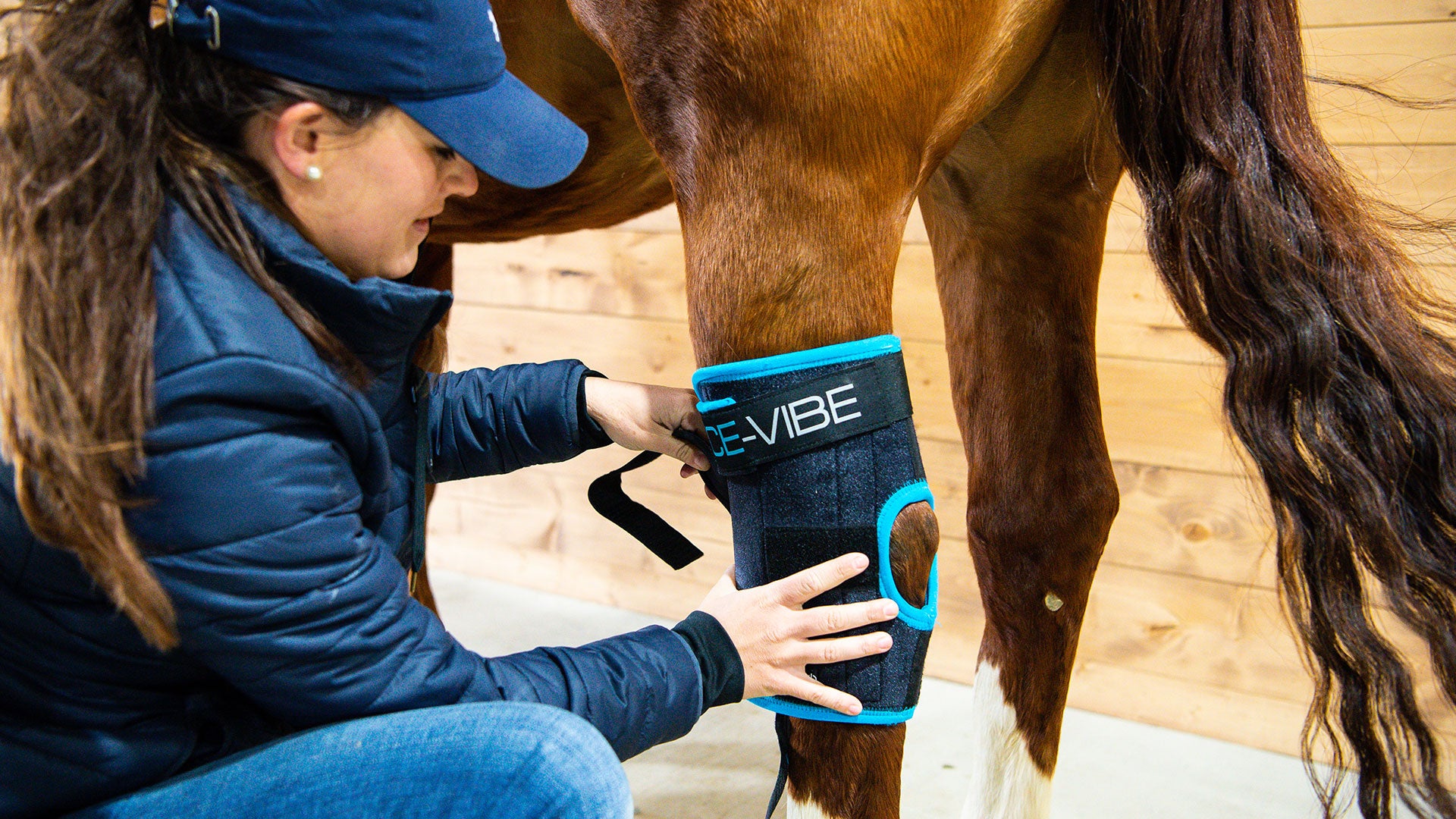 Preventing Injuries in Horses Our Top Tips to Reduce the Risks