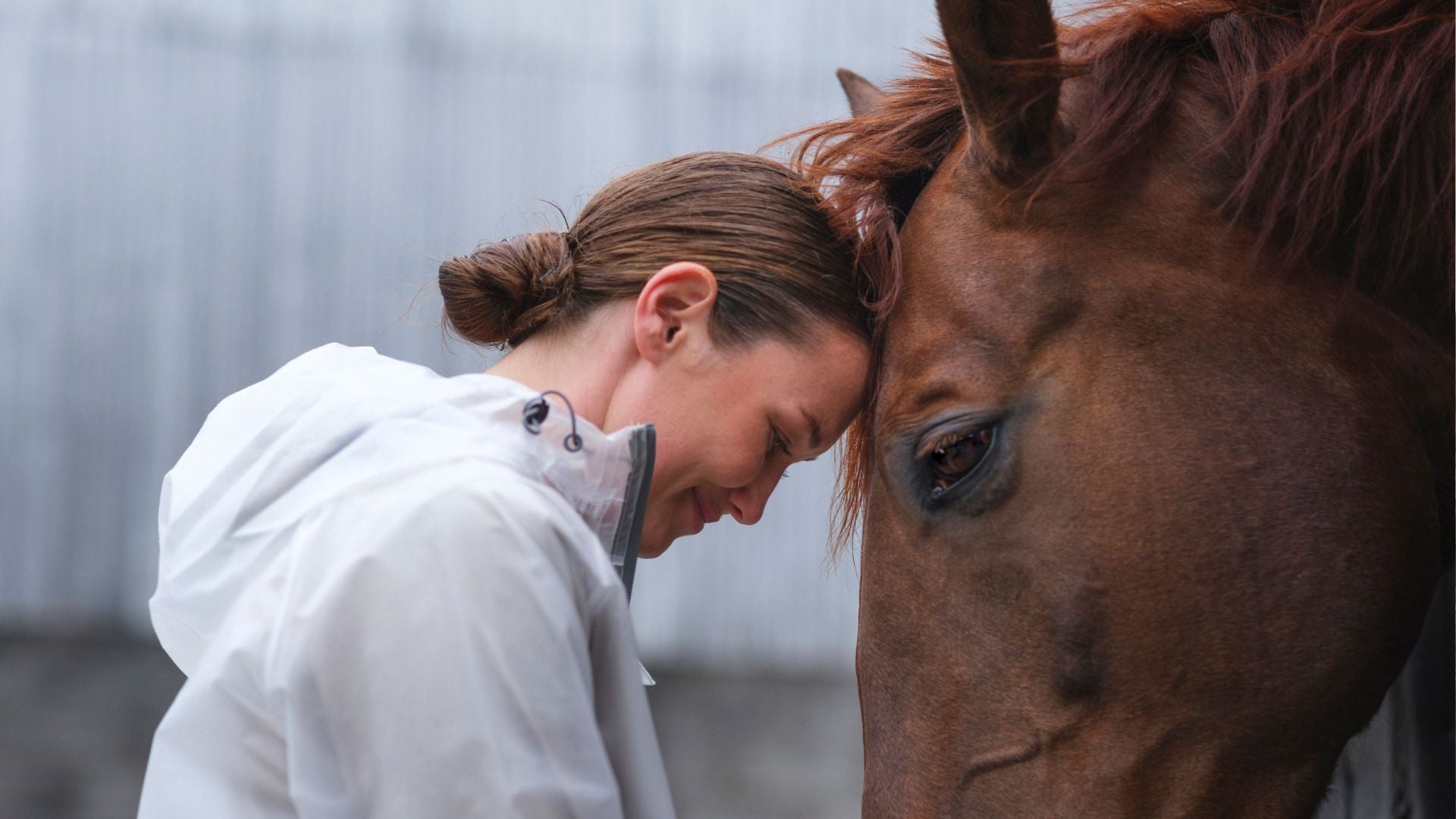 5 Ways to Increase Your Equestrian Mindfulness
