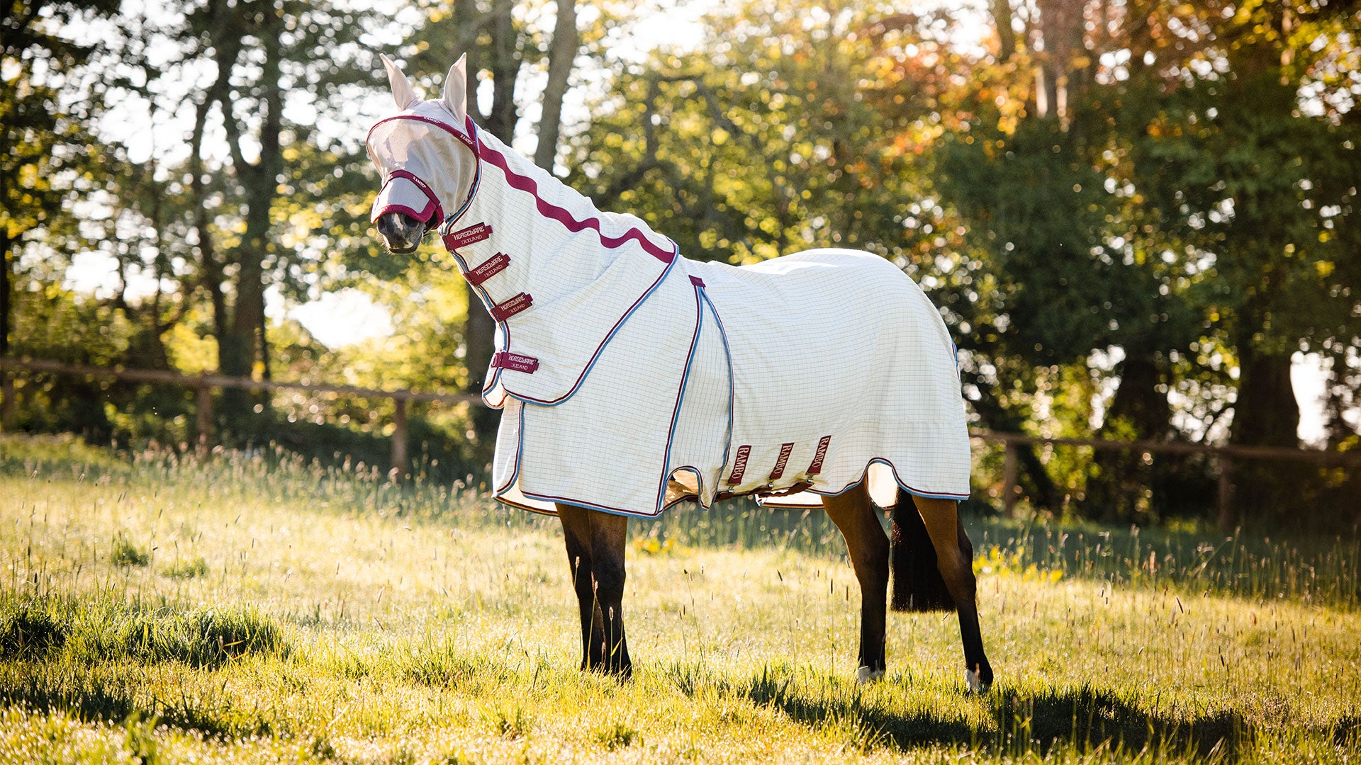 Protection solaire pour les chevaux : prévention des coups de soleil