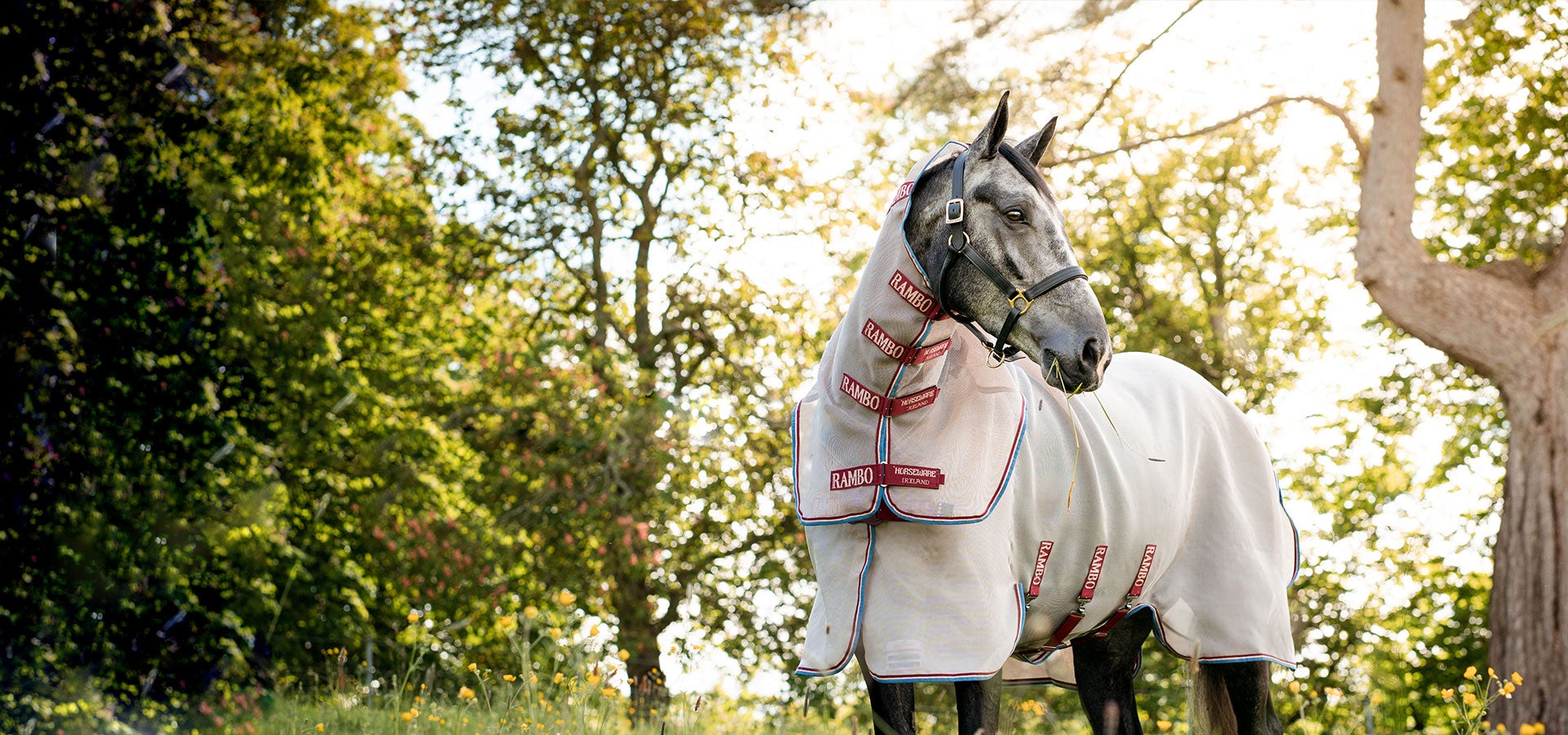 Spring Summer Equestrian Essentials