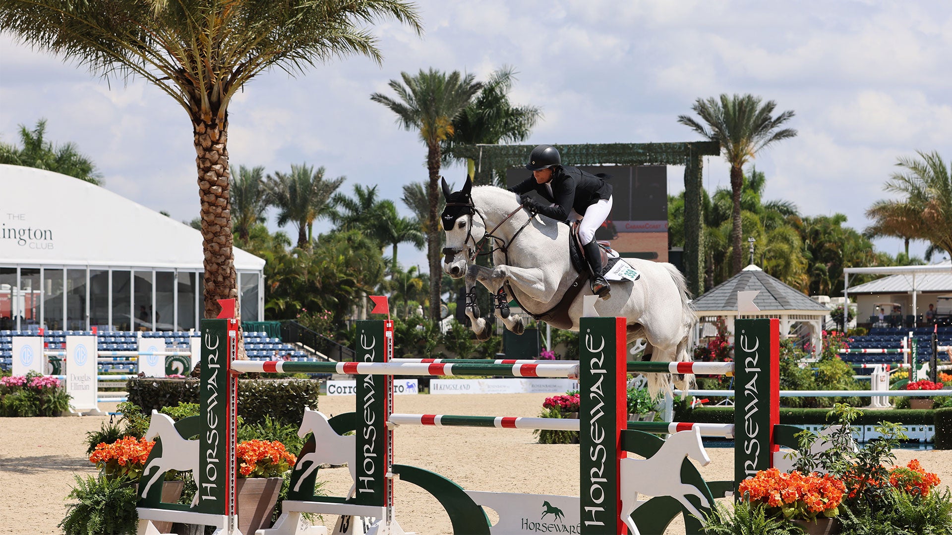 Behind-the-Scenes at WEF Horseware Week