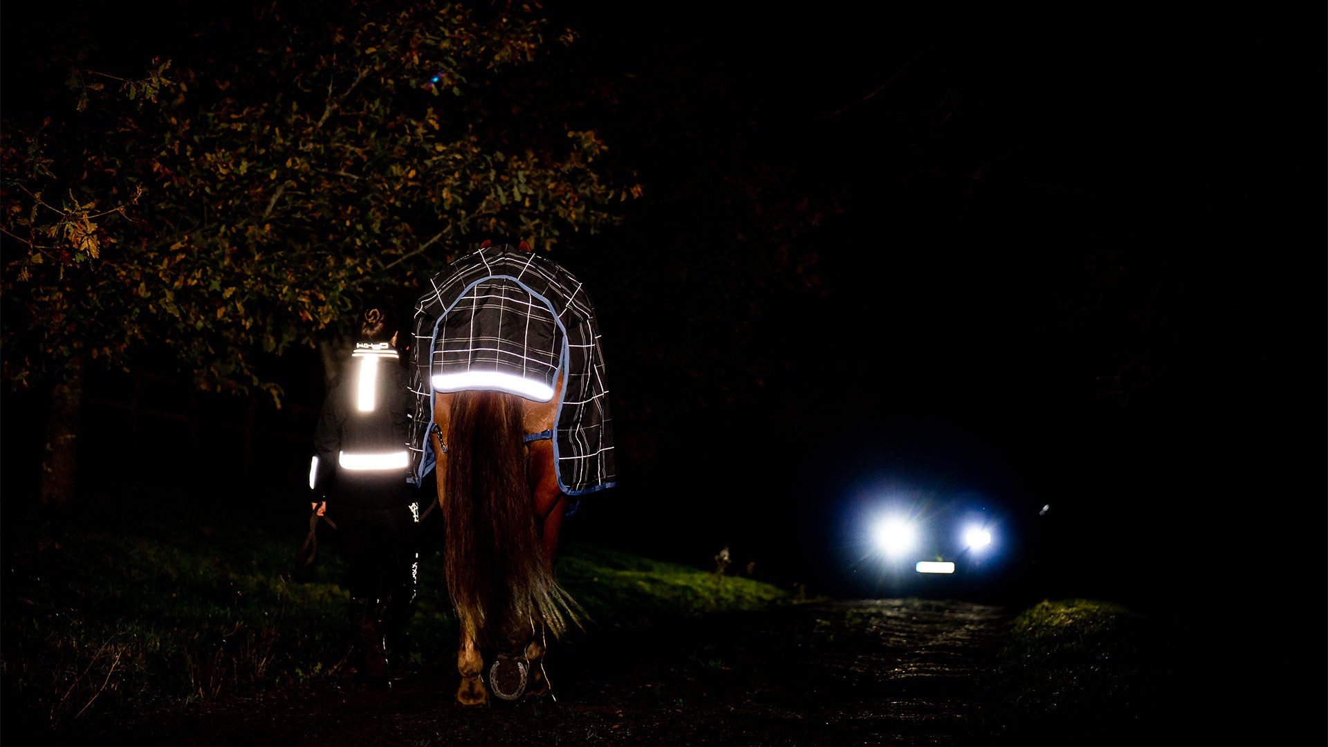 Stay Safe, Be Seen Winter Reflective Gear for Horse and Rider