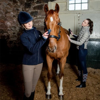 De quoi ai-je besoin pour mon nouveau cheval ?