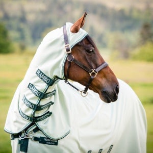 A horse wearing a Rambo fly blanket