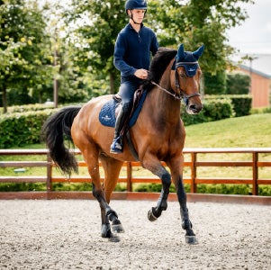 Horse trotting wearing exercise boots