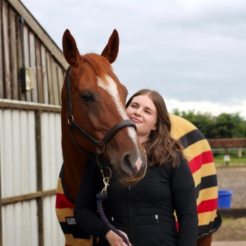 Fixer des objectifs à votre nouveau cheval