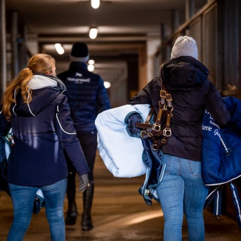 Horse Wardrobe 