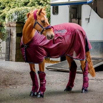 Rambo Travel Series Rug