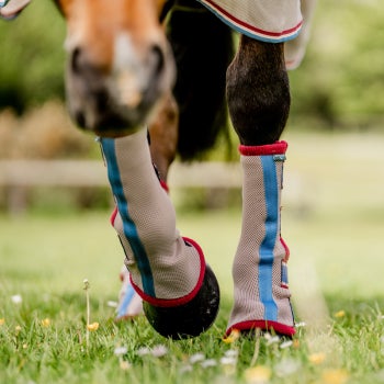 Horseware Fly boots in a field