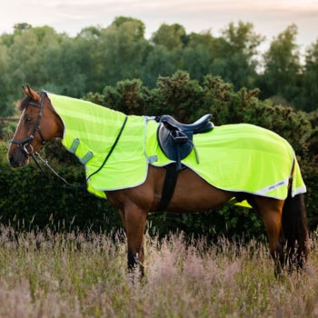 Horse Safety on Roads