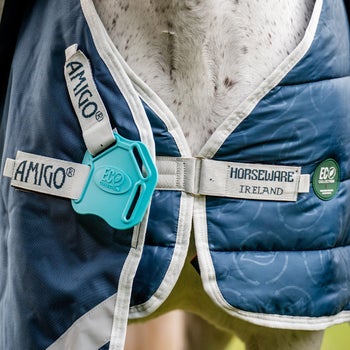 Horseware Eco Liner