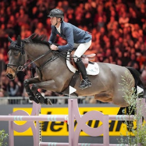 CHI horse show