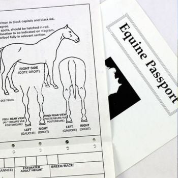 equine passport