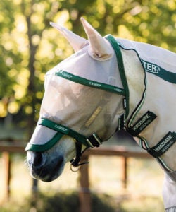 Fliegen-Schutz-Accessoires f&uuml;r dein Pferd