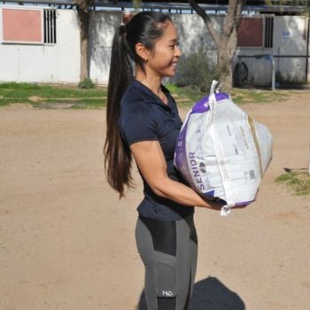 Lifting grain bag