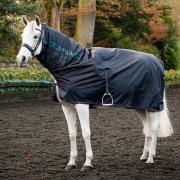 horse with mack in a sack