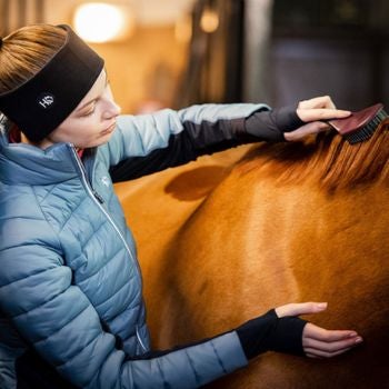 woman grooming horse