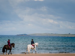Beach Riding Goals