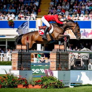 RDS horse show