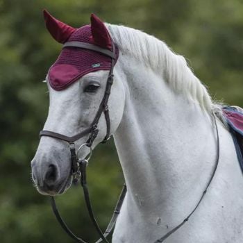 Horse with earnet