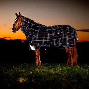 Reflective Horse Turnout Rug