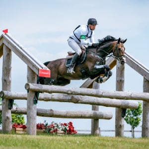 Strzegom horse show