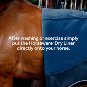Der Horseware Dry Liner - eine Anleitung