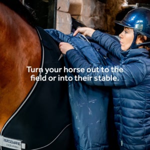 Technische Schichten des Horseware Dry Liner