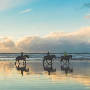 North America Horse Back riding beach