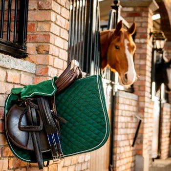 Horseware&reg; Signature Saddle Pad