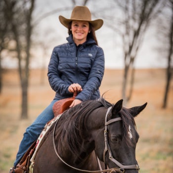 A rider on a black horse in a field