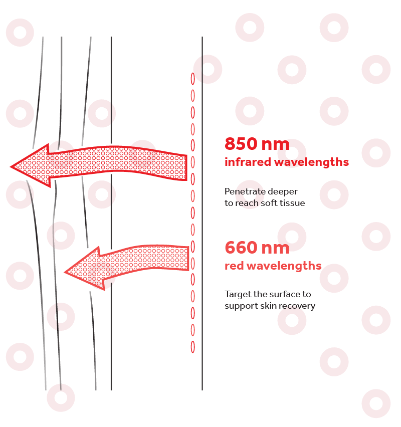 Harnessing the power of red and infrared light, Horseware LED Therapy uses advanced LED technology and a combination of different light wavelengths to offer targeted support for various areas, including the skin and deeper tissues.