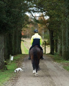 Safe Riding on Roads