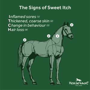 Infographic of the symptoms of sweet itch