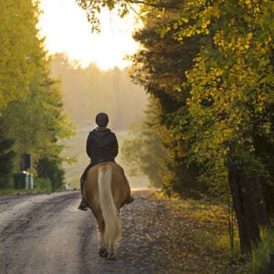 Vermont Horse Riding Vacations